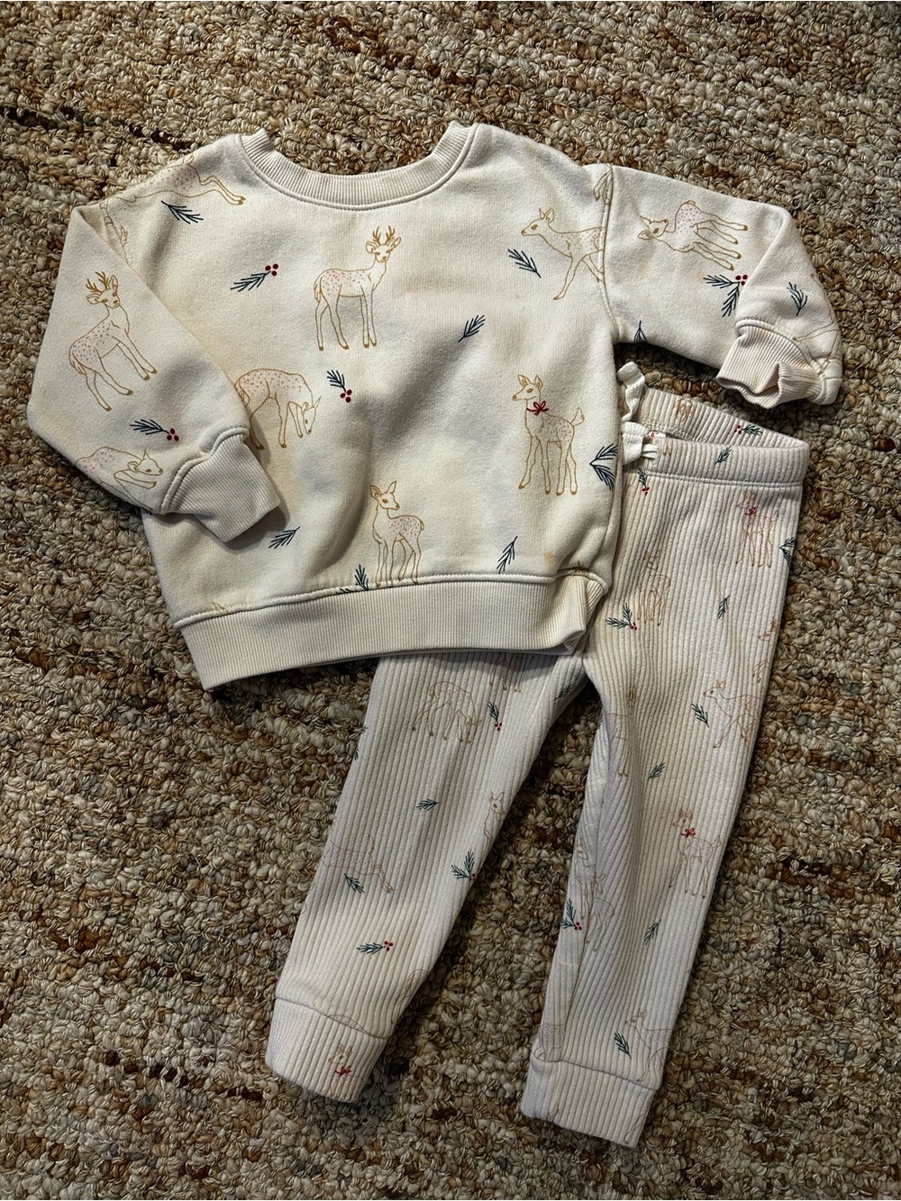 Holiday Deer Sweatshirt and Ribbed Leggings Set Unisex